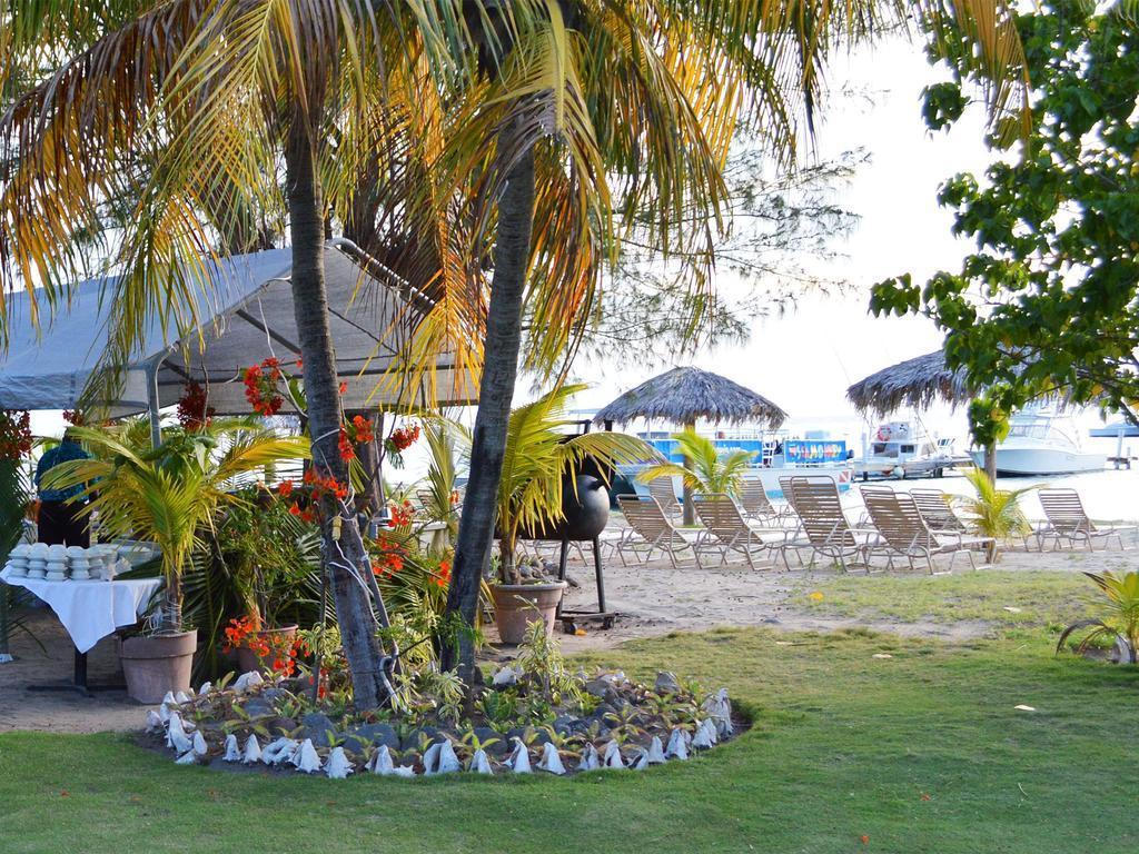 Oualie Beach Resort Nevis Extérieur photo