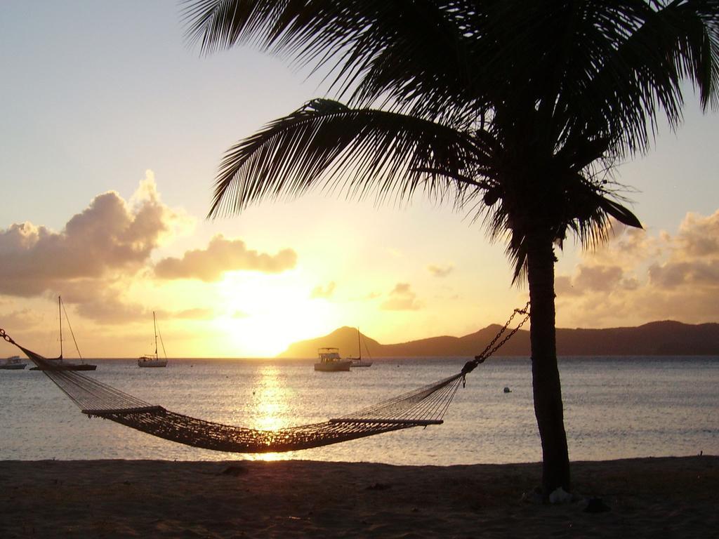 Oualie Beach Resort Nevis Extérieur photo