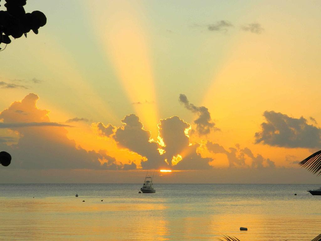 Oualie Beach Resort Nevis Extérieur photo